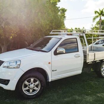 UTE - with ladder and cable ties